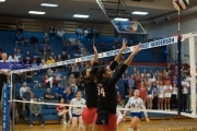 Volleyball: Franklin at West Henderson (BR3_5670)