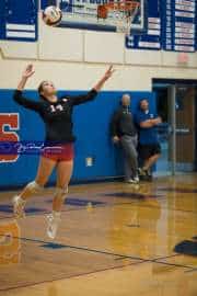 Volleyball: Franklin at West Henderson (BR3_5686)