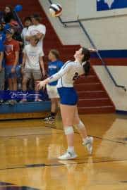 Volleyball: Franklin at West Henderson (BR3_5760)