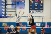 Volleyball: Franklin at West Henderson (BR3_5808)