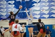 Volleyball: Franklin at West Henderson (BR3_5902)