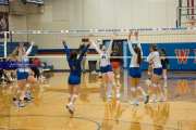 Volleyball: Franklin at West Henderson (BR3_6456)