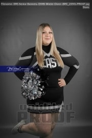 Senior Banners: EHHS Winter Cheer (BRE_2393)