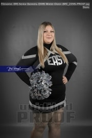 Senior Banners: EHHS Winter Cheer (BRE_2398)
