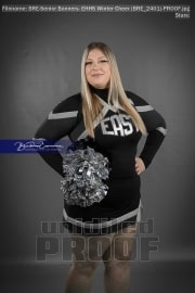 Senior Banners: EHHS Winter Cheer (BRE_2401)