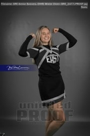 Senior Banners: EHHS Winter Cheer (BRE_2477)