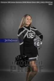 Senior Banners: EHHS Winter Cheer (BRE_2482)