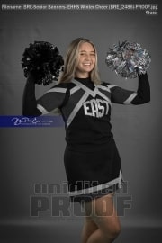 Senior Banners: EHHS Winter Cheer (BRE_2486)