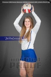 Senior Banners: WHHS Volleyball (BRE_8549)
