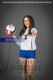Senior Banners: WHHS Volleyball (BRE_8580)