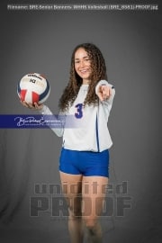 Senior Banners: WHHS Volleyball (BRE_8581)