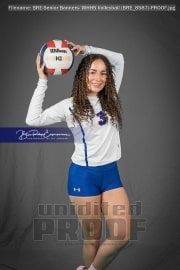 Senior Banners: WHHS Volleyball (BRE_8587)