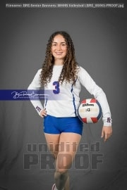 Senior Banners: WHHS Volleyball (BRE_8590)