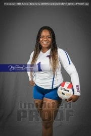 Senior Banners: WHHS Volleyball (BRE_8601)