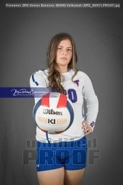 Senior Banners: WHHS Volleyball (BRE_8697)