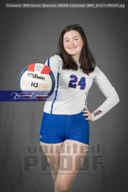 Senior Banners: WHHS Volleyball (BRE_8727)