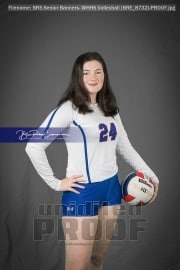 Senior Banners: WHHS Volleyball (BRE_8732)