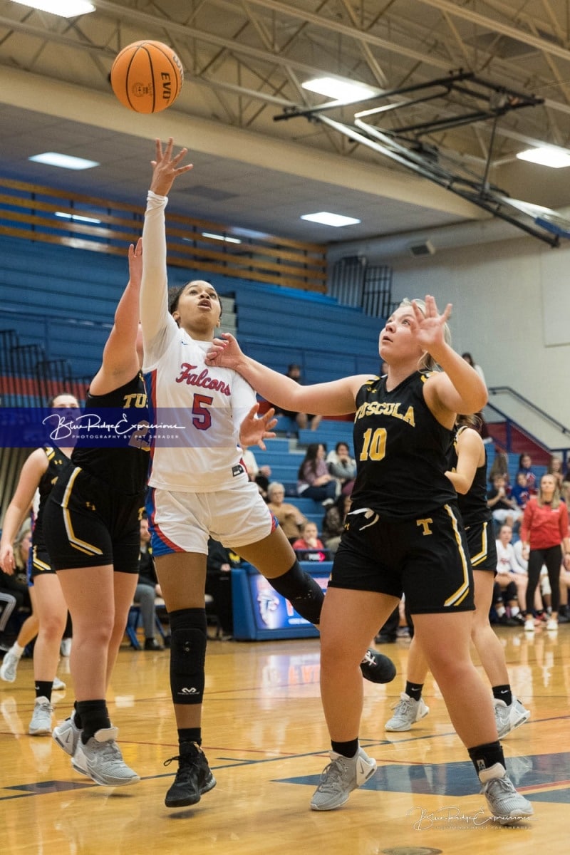 Basketball: Tuscola at West Henderson (BR3_5042)