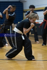 Premier Martial Arts (BR3_9249)