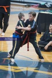 Premier Martial Arts Tournament (BR3_6980)