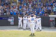 Baseball: WHHS State Champions Gm 3 (BR3_9629)