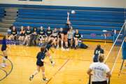Volleyball Scrimmage (BR3_6600)