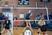 Volleyball: North Buncombe at TC Roberson (BR3_2867)