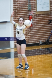 Volleyball: North Buncombe at TC Roberson (BR3_3068)