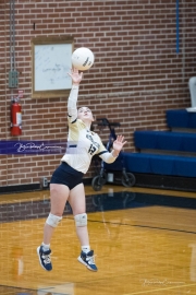 Volleyball: North Buncombe at TC Roberson (BR3_3070)