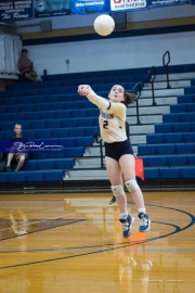 Volleyball: North Buncombe at TC Roberson (BR3_4296)