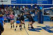 Volleyball: West Henderson at Polk (BR3_5604)