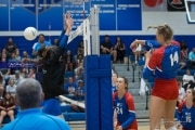 Volleyball: West Henderson at Polk (BR3_5902)