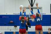 Volleyball: West Henderson at Polk (BR3_6192)