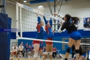Volleyball: West Henderson at Polk (BR3_6744)