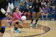 Volleyball: West Henderson at Polk (BR3_7312)