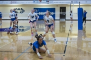 Volleyball Polk at Brevard (BR3_6162)