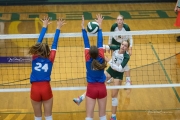Volleyball: West Henderson at East Henderson (BR3_6735)