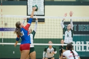 Volleyball: West Henderson at East Henderson (BR3_7441)