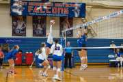 Volleyball: Brevard at West Henderson (BR3_0169)