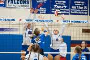 Volleyball: Brevard at West Henderson (BR3_9814)