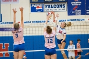 Volleyball: Brevard at West Henderson (BR3_1219)