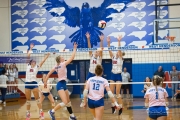 Volleyball: Brevard at West Henderson (BR3_1251)