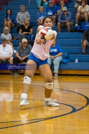 Volleyball: Brevard at West Henderson (BR3_1323)