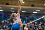 Volleyball: Brevard at West Henderson (BR3_1374)