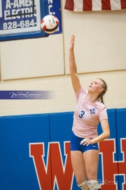 Volleyball: Brevard at West Henderson (BR3_1729)