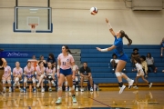 Volleyball: Brevard at West Henderson (BR3_1877)