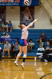 Volleyball: Brevard at West Henderson (BR3_2011)