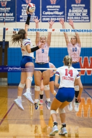 Volleyball: Brevard at West Henderson (BR3_2187)