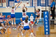 Volleyball: Brevard at West Henderson (BR3_2286)