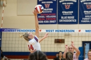 Volleyball: Brevard at West Henderson (BR3_2383)